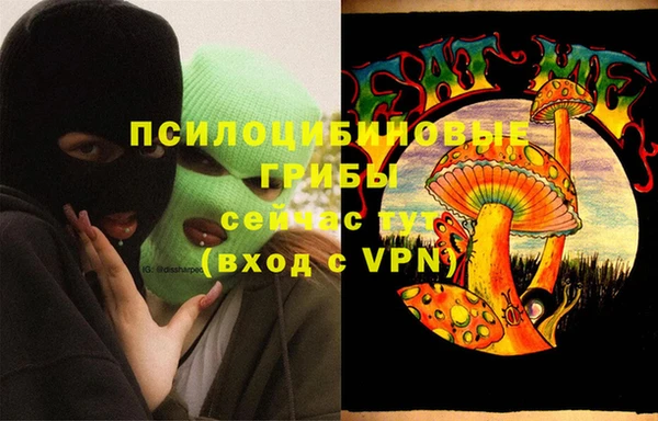 МДПВ Новозыбков