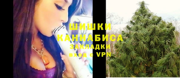 МДПВ Новозыбков