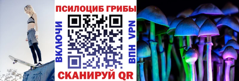 Купить закладки  Карталы  Галлюциногенные грибы Psilocybine cubensis 